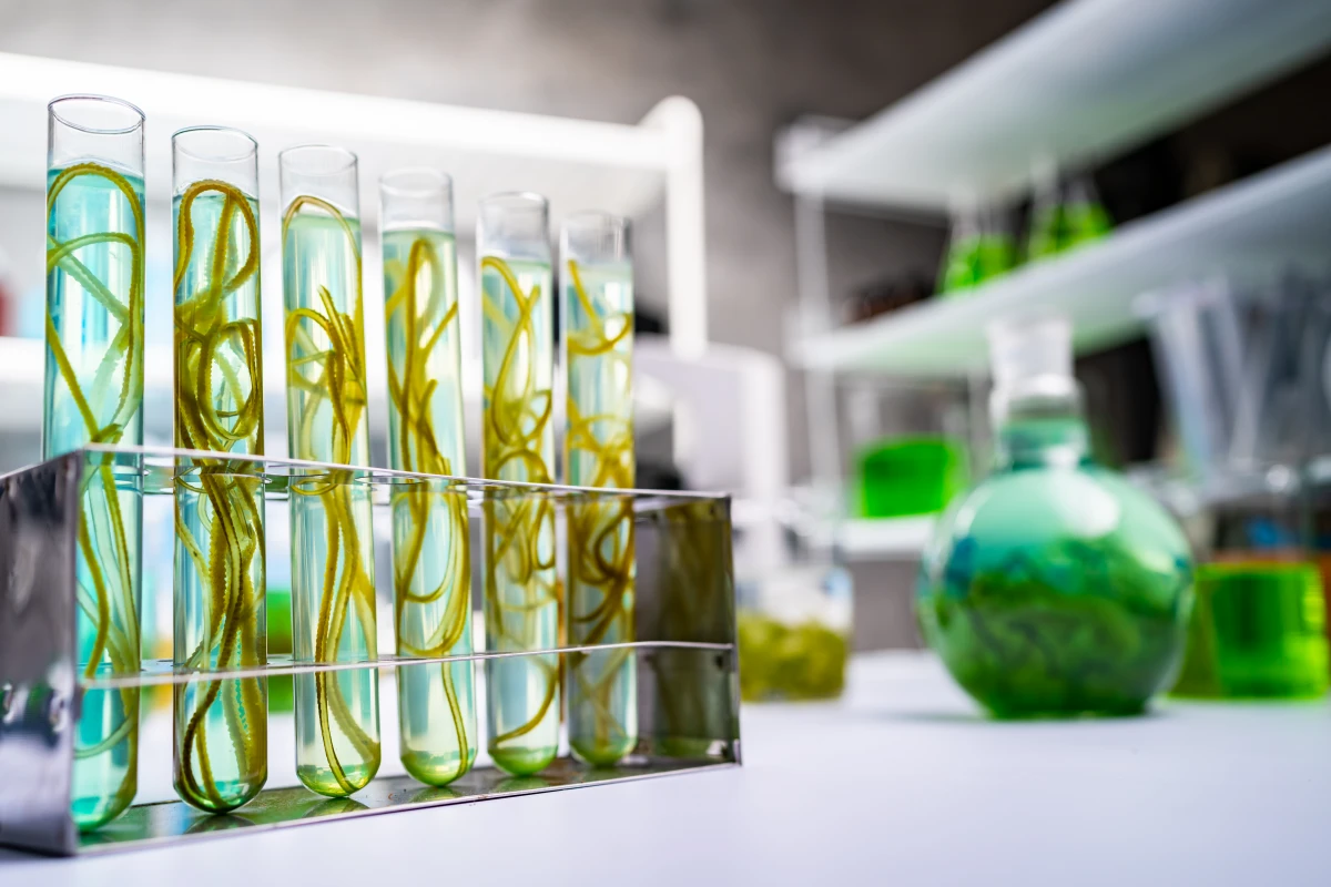 Biotechnologie et start-ups : le défi juridique du XXIe siècle