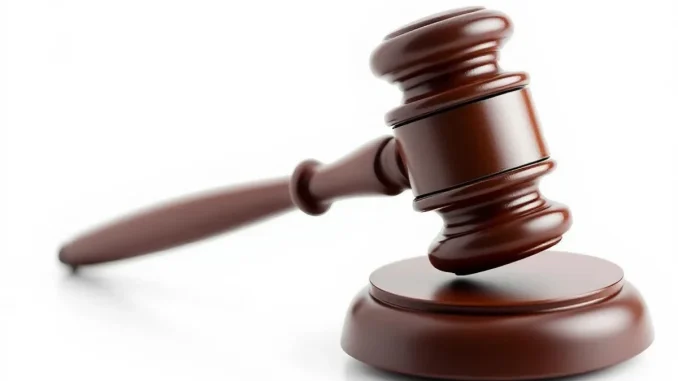 droit-penal-quoi-fai